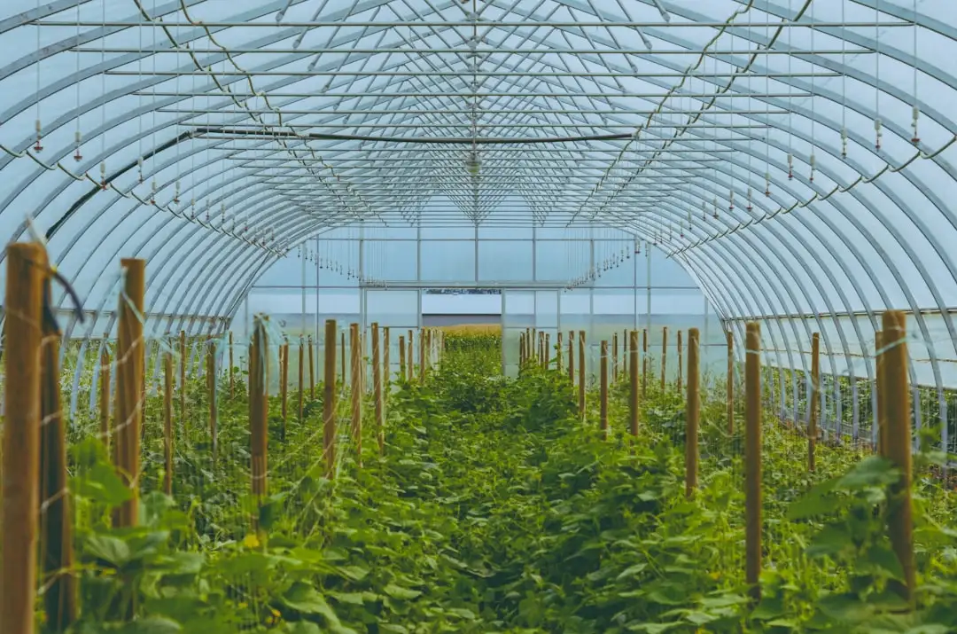 长三角创业辅导行业观察：商业计划书撰写与融资路演方案的新趋势